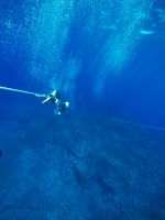 iriomote-SEA(LL0087.jpg